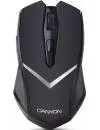 Компьютерная мышь Canyon CNE-CMSW3 icon