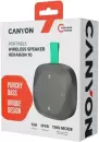 Беспроводная колонка Canyon Hexagon 10 (черный/зеленый) фото 3