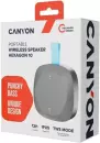 Беспроводная колонка Canyon Hexagon 10 (серый/синий) фото 2