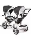 Велосипед детский Capella Twin Trike 360 фото 2