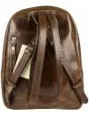 Городской рюкзак Carlo Gattini Anzolla 3040-02 (темно-коричневый) фото 3