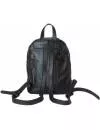 Городской рюкзак Carlo Gattini Classico Anzolla 3040-01 (черный) фото 3