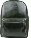 Городской рюкзак Carlo Gattini Premium Albiate 3103-11 icon