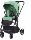 Прогулочная коляска Carrello Alfa (CRL-5508, pear green) icon