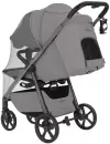 Детская прогулочная коляска Carrello Bravo Carbon CRL-5530 (Extreme Grey) icon 3