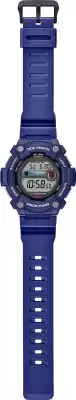 Наручные часы Casio WS-1300H-2A icon 2