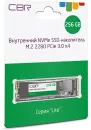 SSD CBR Lite 256GB SSD-256GB-M.2-LT22 фото 2