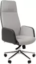 Офисное кресло CHAIRMAN 929 (экопремиум серый/светло-серый) icon