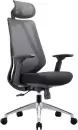 Офисное кресло Chairman CH580 (черный) icon