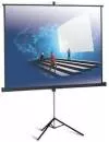 Проекционный экран Classic Solution Gemini 244x183 icon