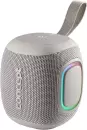 Беспроводная колонка Canyon Concept SoundJoy BR5011 icon