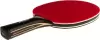 Ракетка для настольного тенниса Donic-Schildkrot Carbotec 7000 758221 icon 2