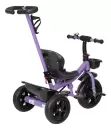 Детский велосипед Farfello 208-1 (фиолетовый) icon 3