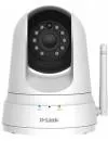 IP-камера D-Link DCS-5000L icon