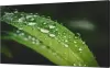 Дисплей для видеостены Dahua DHI-LS550UEM-UG icon