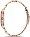 Наручные часы Daniel Klein 13215-2 icon 2