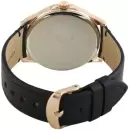 Наручные часы Daniel Klein 13325-3 icon 2