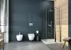 Душевая система Deante Lobelia NAC 01WM icon 2
