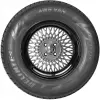 Всесезонная шина Delinte AW5 Van 205/75R16C 110/108T icon 5