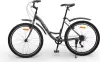 Велосипед DeltA Fiesta FIESTA26.17.GR 26 (серый) icon 8