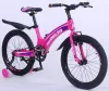 Велосипед детский Delta Prestige 20 2012 (розовый) фото 2