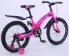 Велосипед детский Delta Prestige 20 2012 (розовый) фото 3