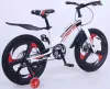 Велосипед детский Delta Prestige 20 2014 (белый) фото 3
