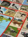 Настольная игра Десятое королевство ФОТОвикторина. Звери и птицы 02719 icon 10