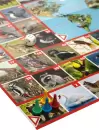 Настольная игра Десятое королевство ФОТОвикторина. Звери и птицы 02719 icon 8
