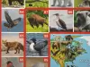 Настольная игра Десятое королевство ФОТОвикторина. Звери и птицы 02719 icon 9