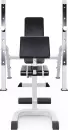 Скамья для жима штанги DFC Gorilla 201321W icon 3