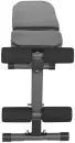 Скамья многофункциональная DFC Gorilla Sport GN004 фото 6