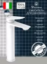 Смеситель Diadonna D171-13W фото 2