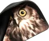 Коврик для мыши Dialog PM-H15 Owl фото 5