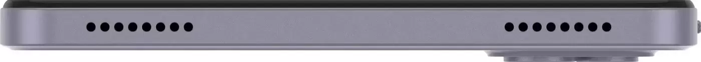 Планшет Digma Q8 4G 3GB/32GB (серый) icon 8