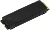 SSD Digma Top G3 1TB DGST4001TG33T фото 4
