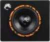 Сабвуфер DL Audio Piranha 10A SE фото 4