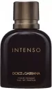 Парфюмерная вода Dolce&Gabbana Intenso Pour Homme 125 мл icon
