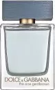 Туалетная вода Dolce&Gabbana The One Gentleman 50 мл icon