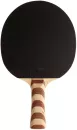 Ракетка для настольного тенниса Donic-Schildkrot Testra Premium 200205 фото 2