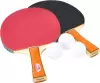 Набор для настольного тенниса Double Fish 036A icon