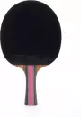 Ракетка для настольного тенниса Double Fish J8 icon 2