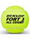 Мячи для тенниса Dunlop Fort All Court 4 шт 622DN601316 фото 2
