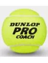 Мячи для тенниса Dunlop Pro Coach 4 шт 622DN601329 фото 2