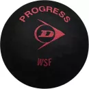 Набор мячей для сквоша DUNLOP Progress (1 красная точка, 12 шт) icon