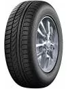 Зимняя шина Dunlop SP Winter Response 165/70R14 81T icon