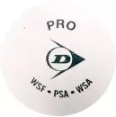 Набор мячей для сквоша DUNLOP White Pro (1 желтая точка, 12 шт) icon