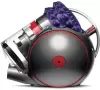 Пылесос Dyson Big Ball Multifloor 2+ icon 5
