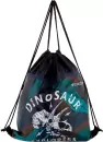 Мешок для обуви Ecotope Kids Череп 057-M588-145-CLR icon