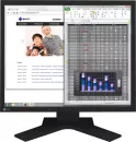 Монитор EIZO FlexScan S1934H (черный) icon